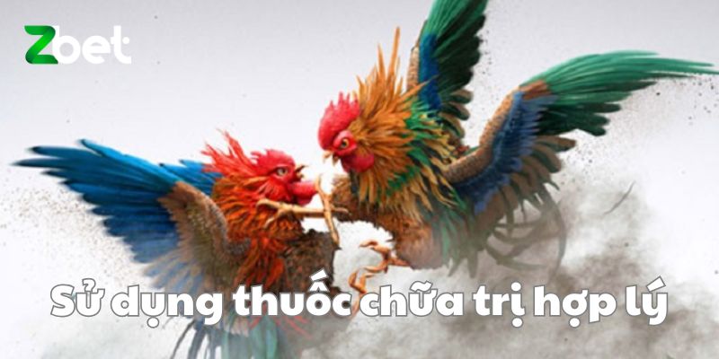 Sử dụng thuốc chữa trị hợp lý