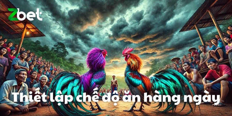 Thiết lập chế độ ăn hàng ngày