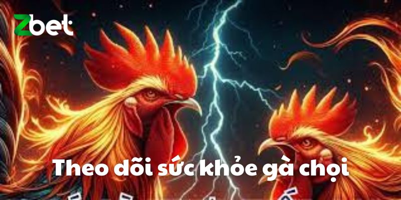 Theo dõi sức khỏe gà chọi