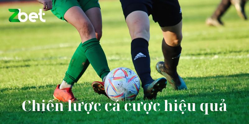 Chiến lược cá cược hiệu quả