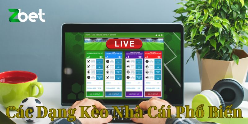 Các Dạng Kèo Nhà Cái Phổ Biến