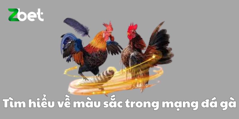 Tìm hiểu về màu sắc trong mạng đá gà