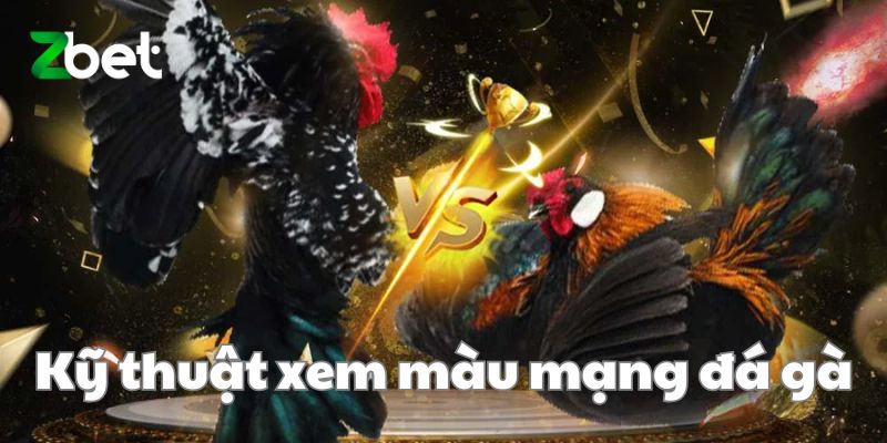 Kỹ thuật xem màu mạng đá gà