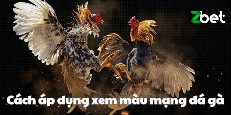 Cách áp dụng xem màu mạng đá gà